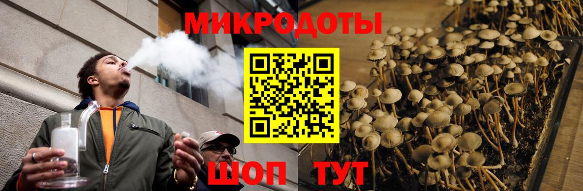 Галлюциногенные грибы Psilocybine cubensis Черемхово