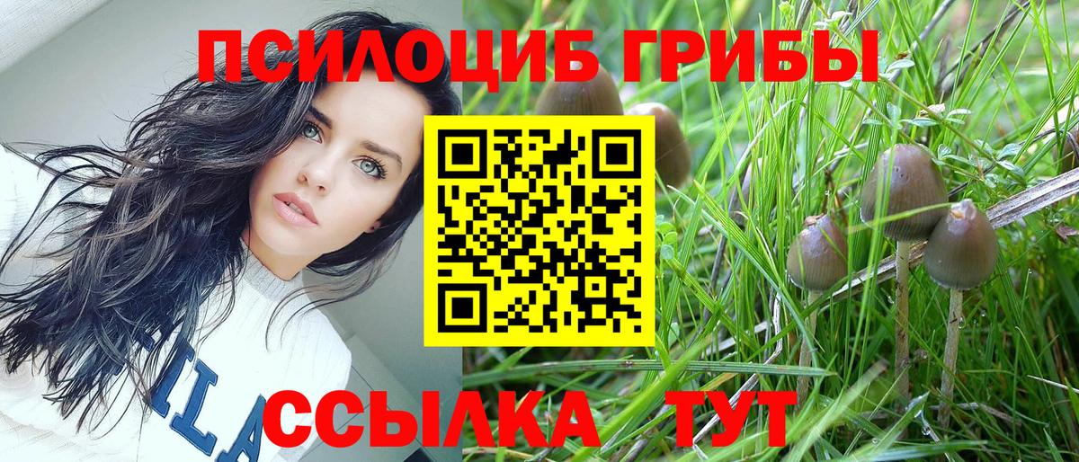 Черемхово  Псилоцибиновые грибы мицелий  Вход с VPN 